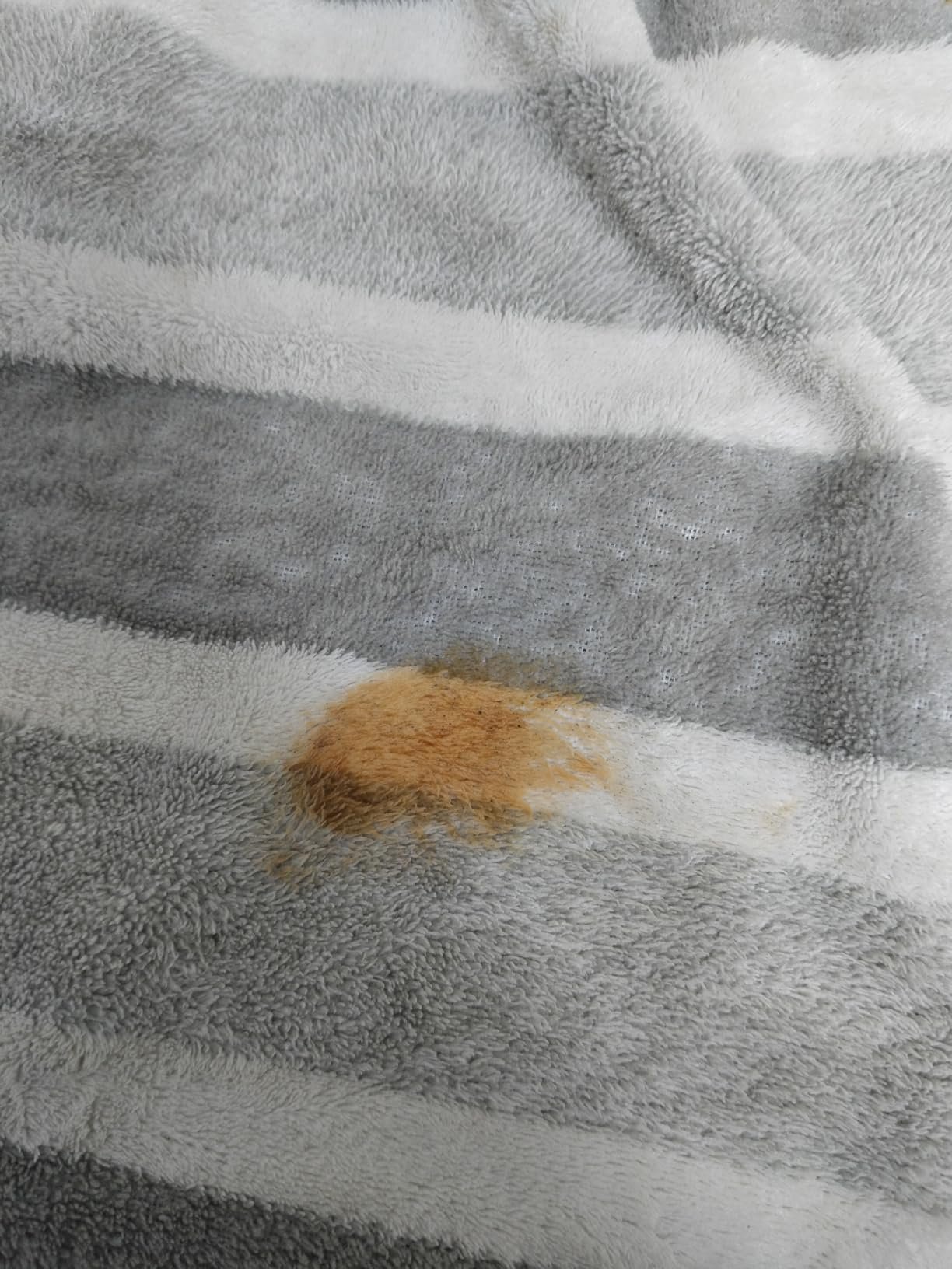 Stain before Dr. Clean